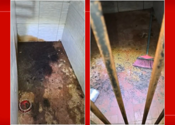 Dono de abrigo pet que matou 6 cães no DF é condenado a 4 anos de prisão em regime semi-aberto
