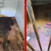 Dono de abrigo pet que matou 6 cães no DF é condenado a 4 anos de prisão em regime semi-aberto